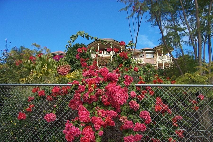 Apartmán Tranquil Garden Hideaway Ormeau Exteriér fotografie